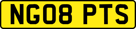 NG08PTS