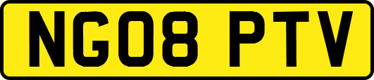 NG08PTV