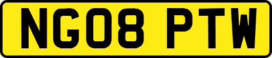 NG08PTW