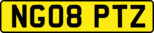 NG08PTZ