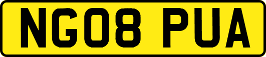 NG08PUA