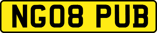 NG08PUB
