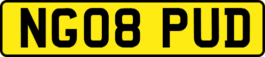 NG08PUD