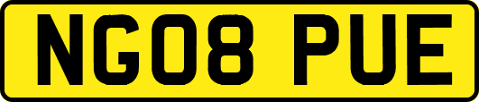 NG08PUE