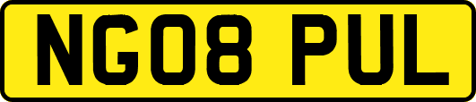NG08PUL