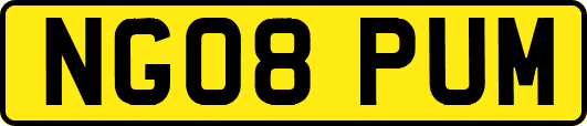 NG08PUM