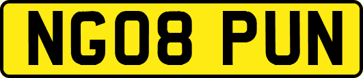 NG08PUN