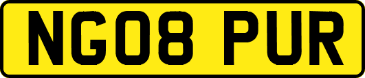 NG08PUR