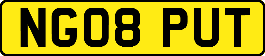 NG08PUT