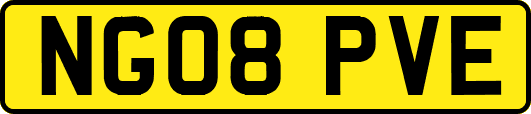 NG08PVE