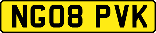 NG08PVK