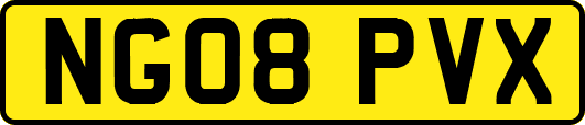 NG08PVX