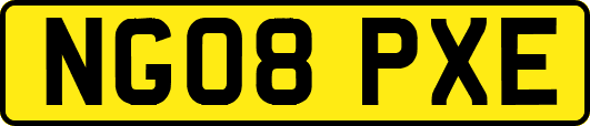 NG08PXE