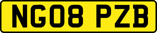 NG08PZB