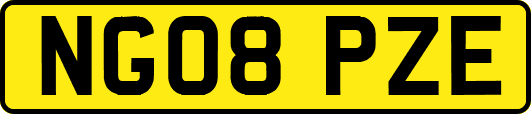 NG08PZE