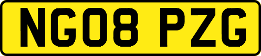 NG08PZG