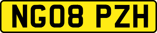 NG08PZH