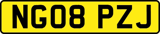 NG08PZJ