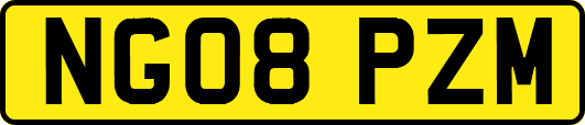 NG08PZM