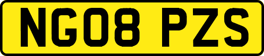 NG08PZS