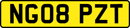 NG08PZT