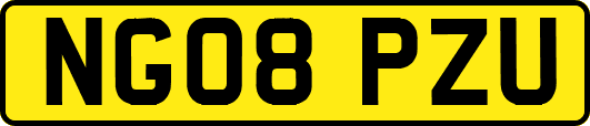 NG08PZU