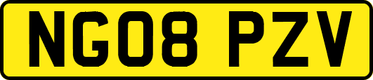 NG08PZV