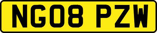 NG08PZW