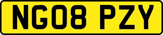 NG08PZY