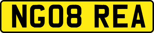 NG08REA
