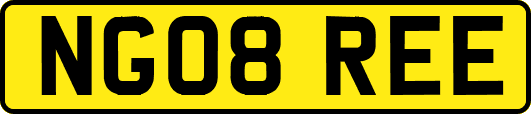 NG08REE