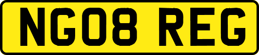 NG08REG