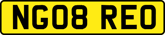 NG08REO
