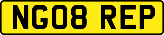 NG08REP