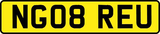 NG08REU