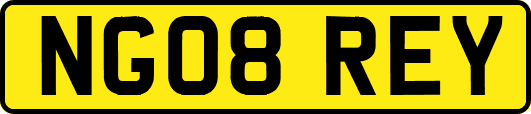 NG08REY