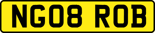 NG08ROB