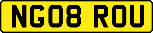 NG08ROU