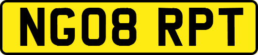 NG08RPT