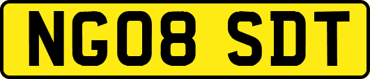 NG08SDT
