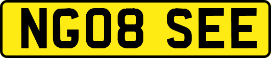 NG08SEE