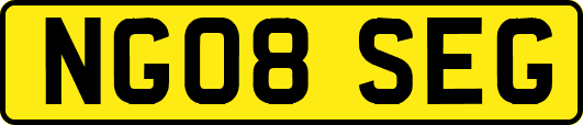 NG08SEG