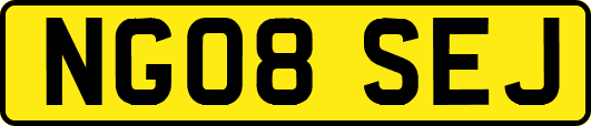 NG08SEJ