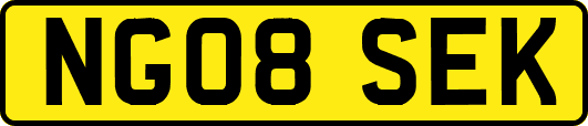 NG08SEK