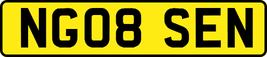 NG08SEN