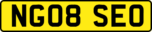 NG08SEO