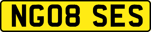 NG08SES