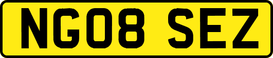 NG08SEZ