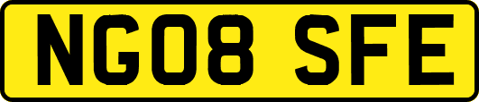 NG08SFE