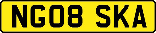 NG08SKA